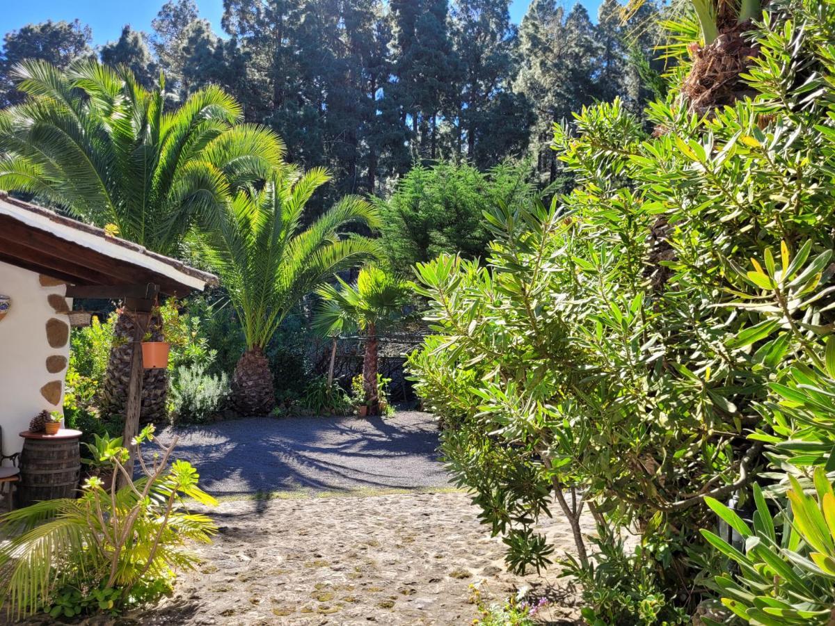 Finca Llano De La Cebolla Icod De Los Vinos Eksteriør billede