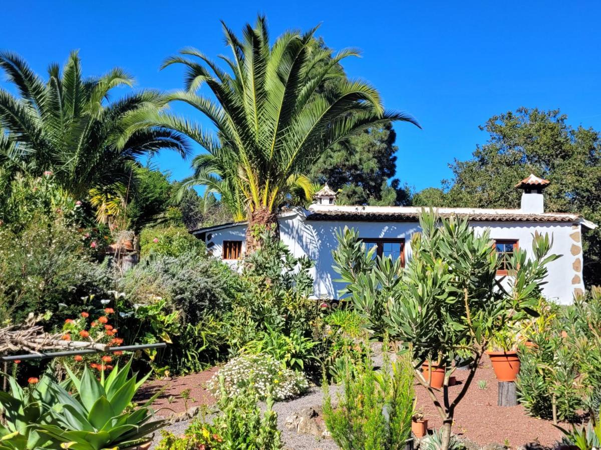 Finca Llano De La Cebolla Icod De Los Vinos Eksteriør billede