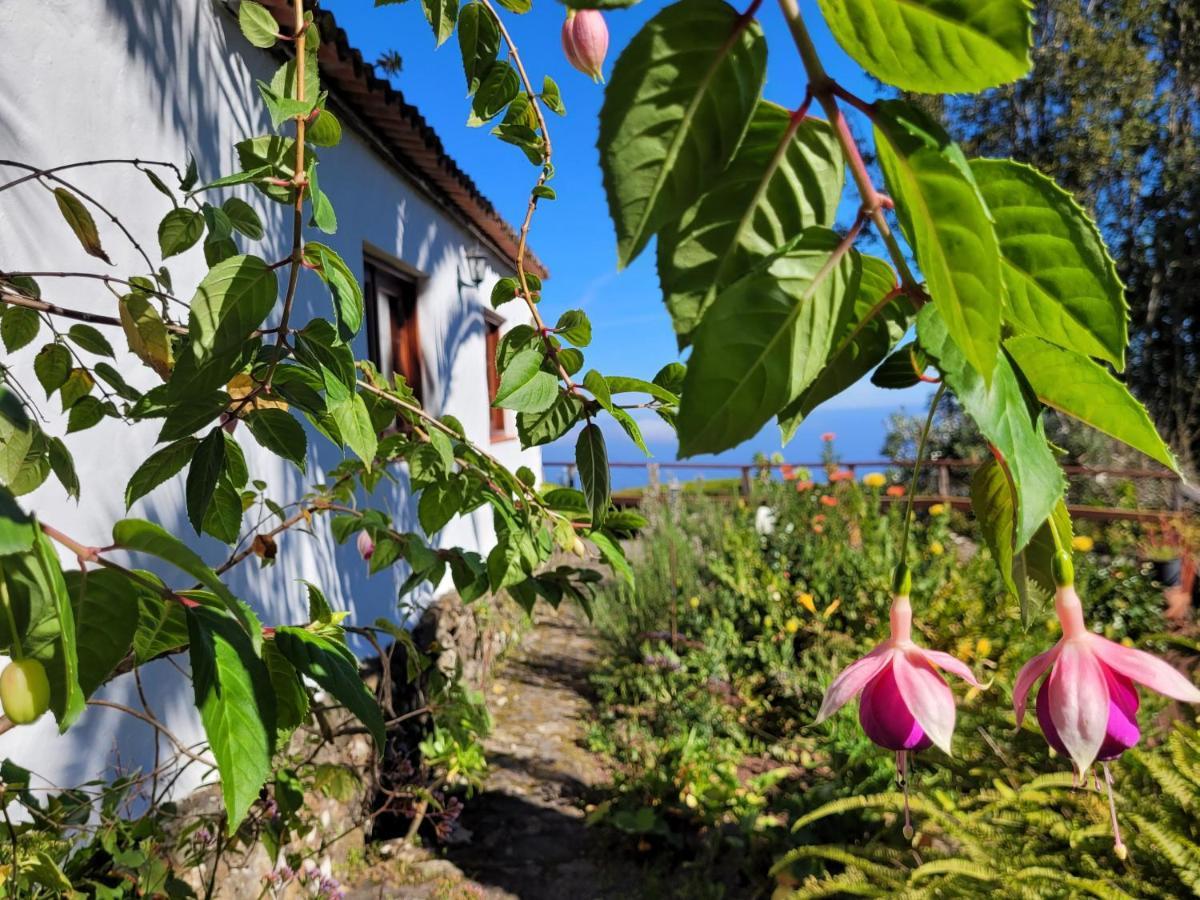 Finca Llano De La Cebolla Icod De Los Vinos Eksteriør billede