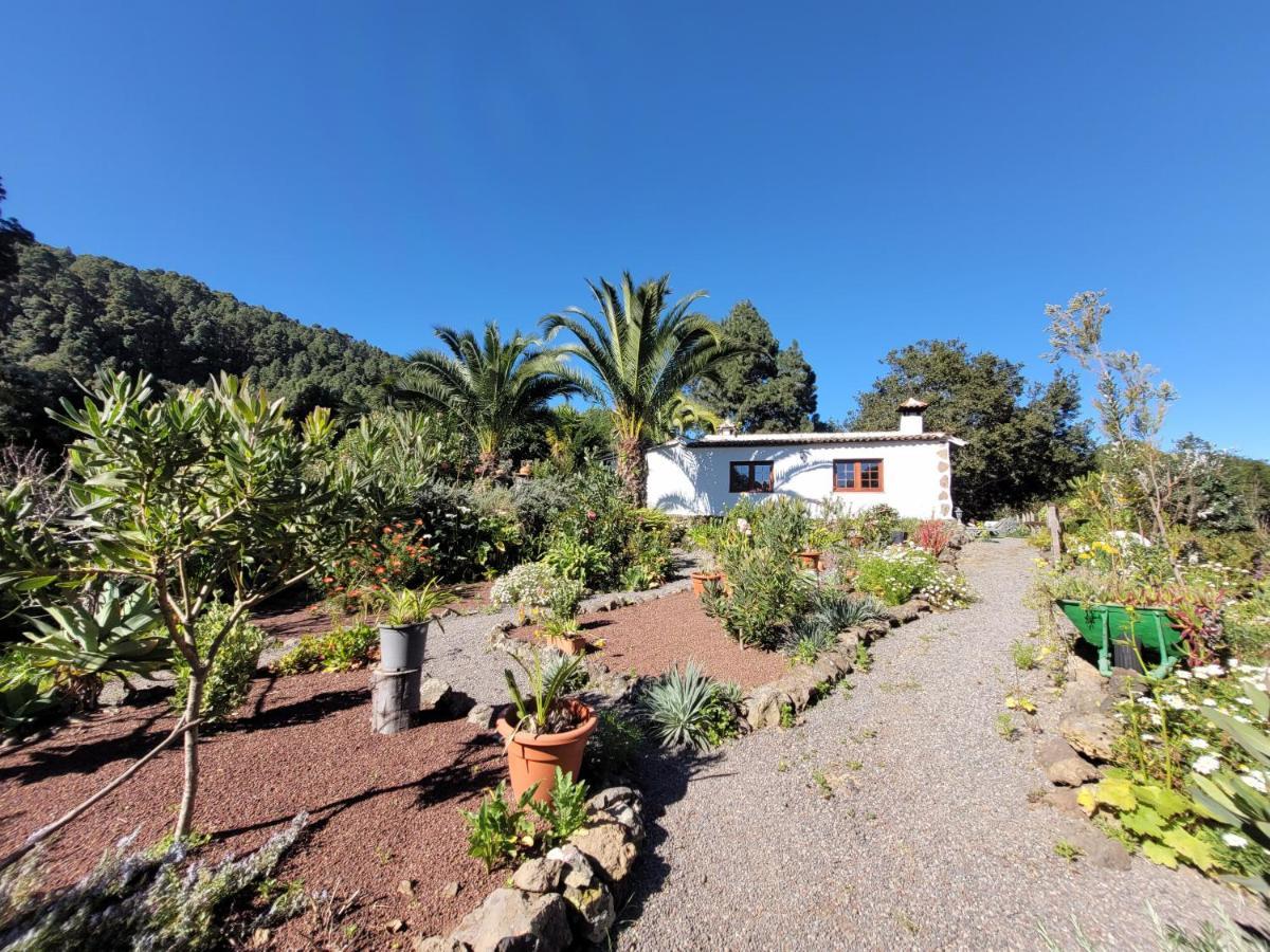 Finca Llano De La Cebolla Icod De Los Vinos Eksteriør billede