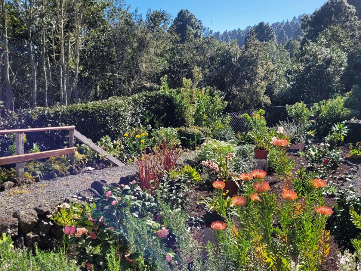 Finca Llano De La Cebolla Icod De Los Vinos Eksteriør billede