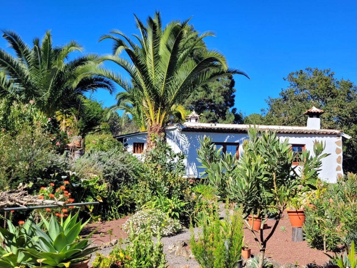 Finca Llano De La Cebolla Icod De Los Vinos Eksteriør billede