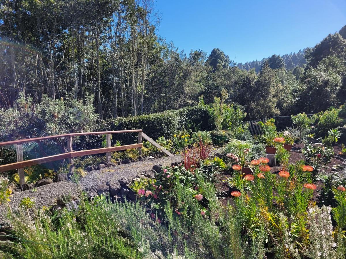 Finca Llano De La Cebolla Icod De Los Vinos Eksteriør billede