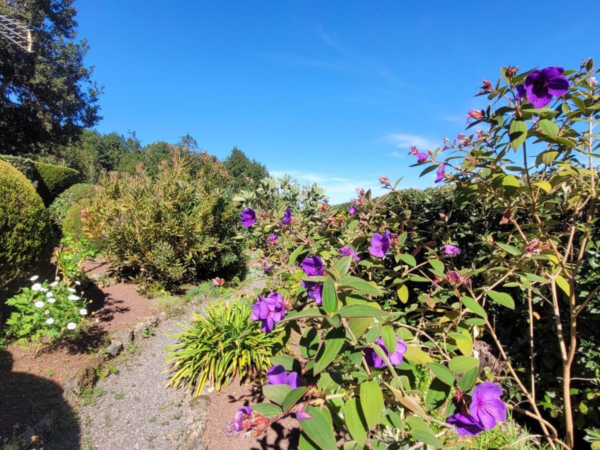 Finca Llano De La Cebolla Icod De Los Vinos Eksteriør billede