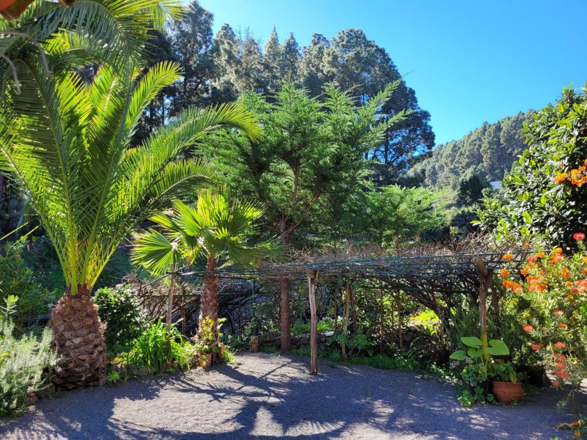 Finca Llano De La Cebolla Icod De Los Vinos Eksteriør billede