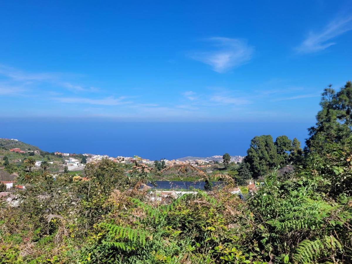 Finca Llano De La Cebolla Icod De Los Vinos Eksteriør billede
